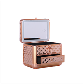 LED Light Makeup Case